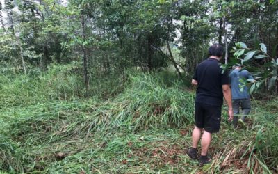 Site Visit to Tawai Forest Reserve