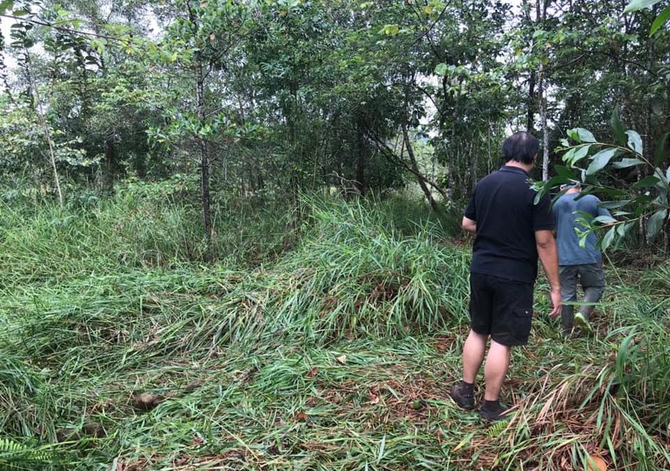 Site Visit to Tawai Forest Reserve